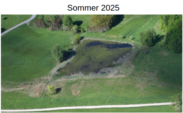 Teichanlage Tränkried Sommer 2025