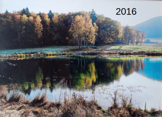 Teich Rotes Haus / Wüstung Tränkried 