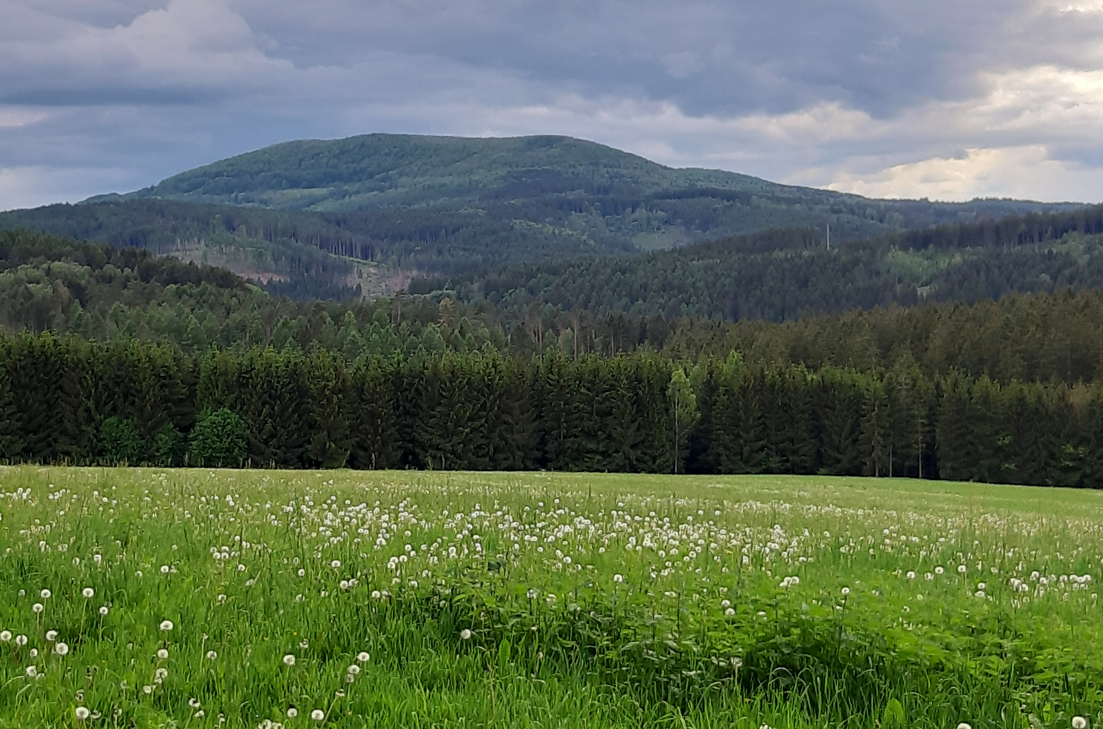 Blick zum Dolmar vom Passberg bei Benshausen
